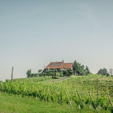 Taverna & Wine Jeruzalem Ivanjkovci Екстер'єр фото