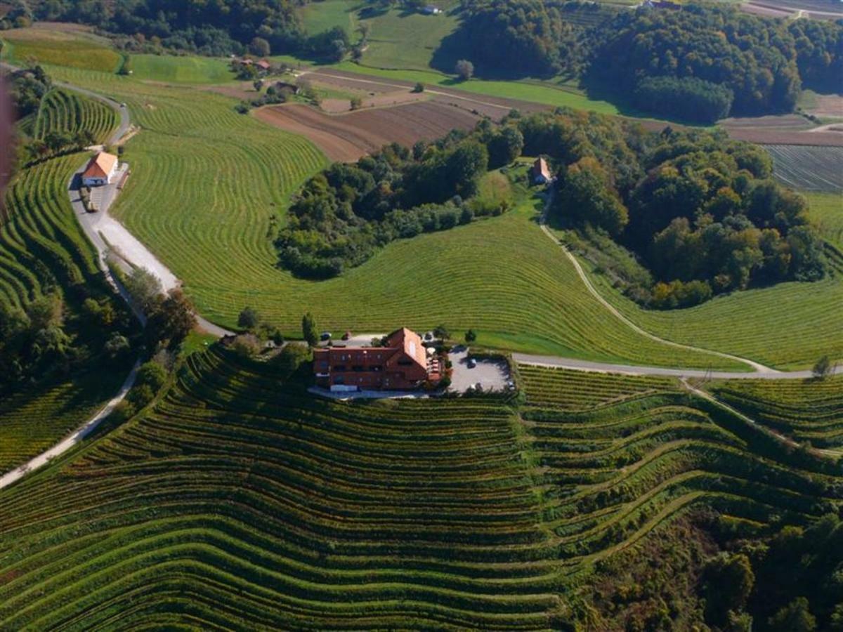 Taverna & Wine Jeruzalem Ivanjkovci Екстер'єр фото