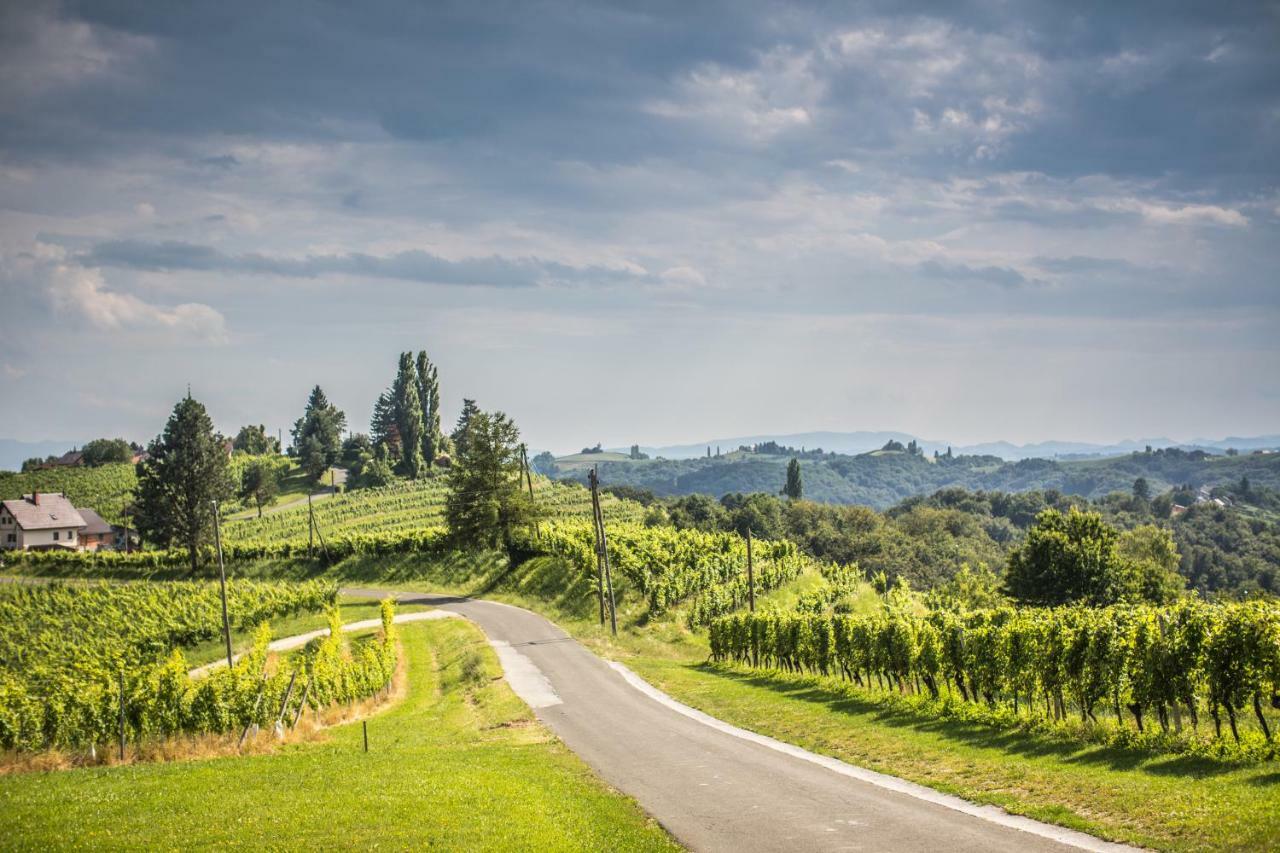 Taverna & Wine Jeruzalem Ivanjkovci Екстер'єр фото