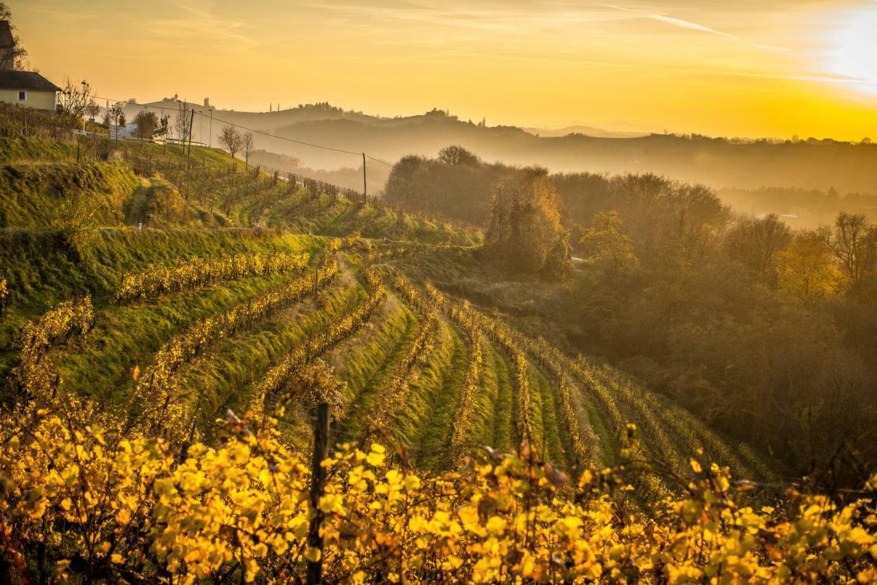 Taverna & Wine Jeruzalem Ivanjkovci Екстер'єр фото