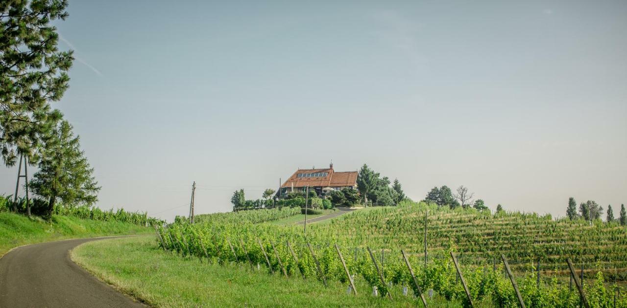 Taverna & Wine Jeruzalem Ivanjkovci Екстер'єр фото
